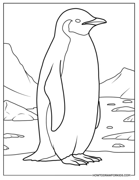 Realistic Antarctic Penguin Coloring Page