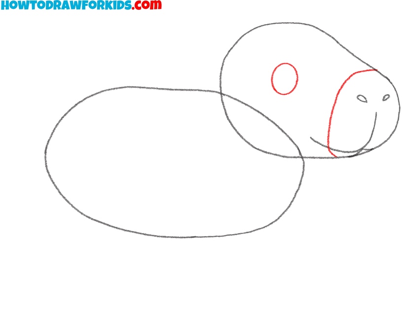 Complete the main face elements