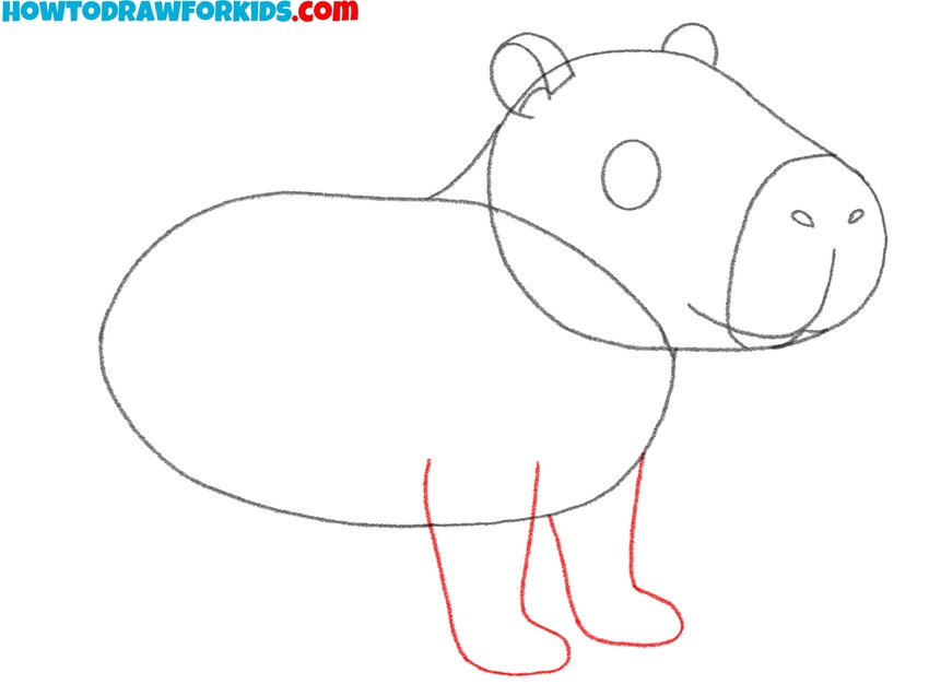 Sketch the front legs and paws