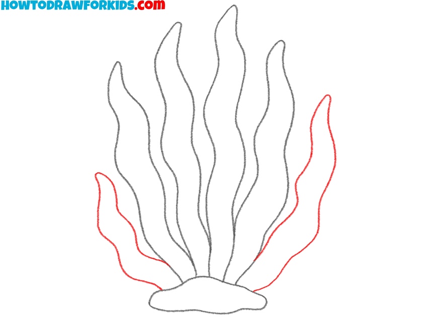 Draw the last seaweed leaves
