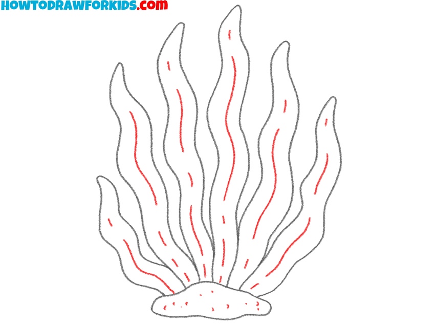 Draw seaweed veins and base dots