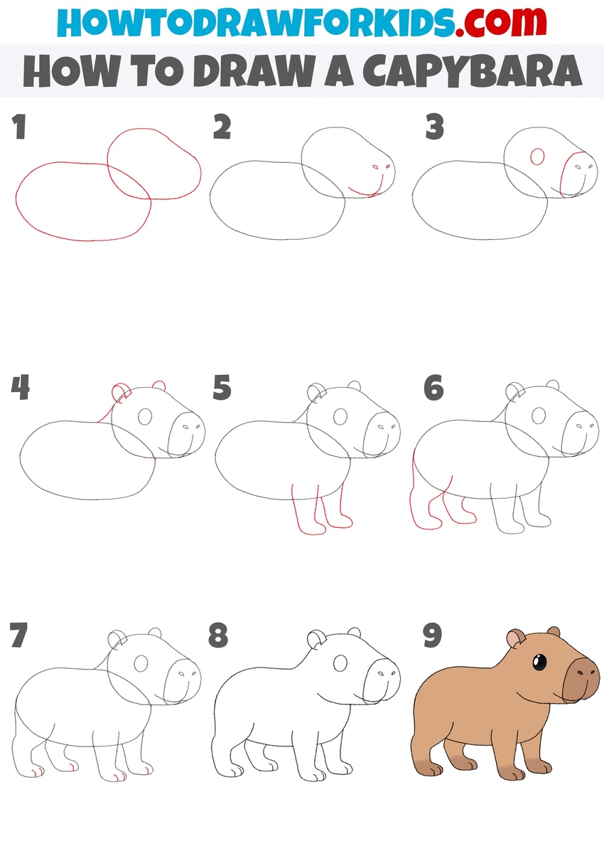 How to draw a capybara step by step