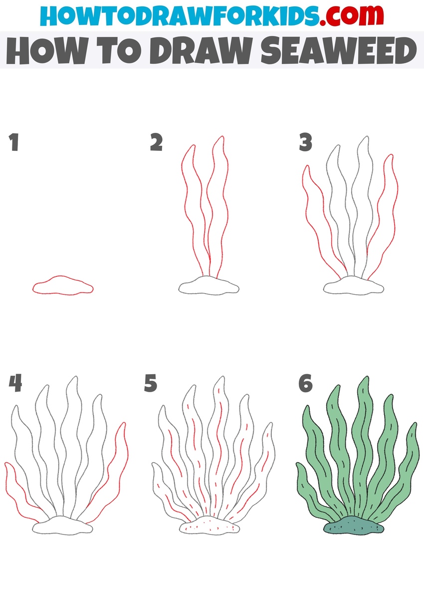 How to draw seaweed step by step