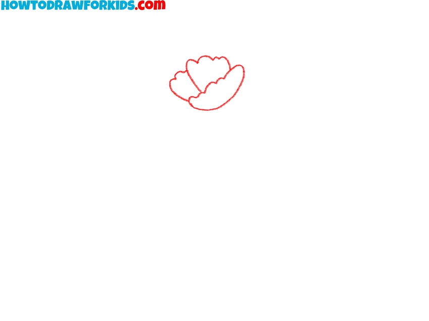 Sketch the flower’s central petals