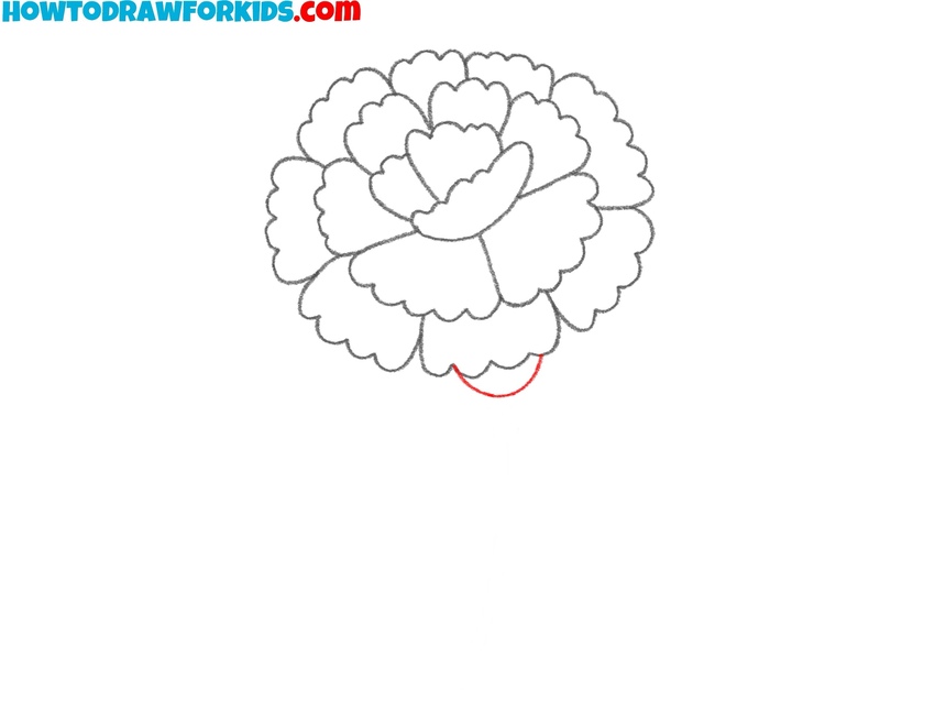 Sketch the calyx under the petals
