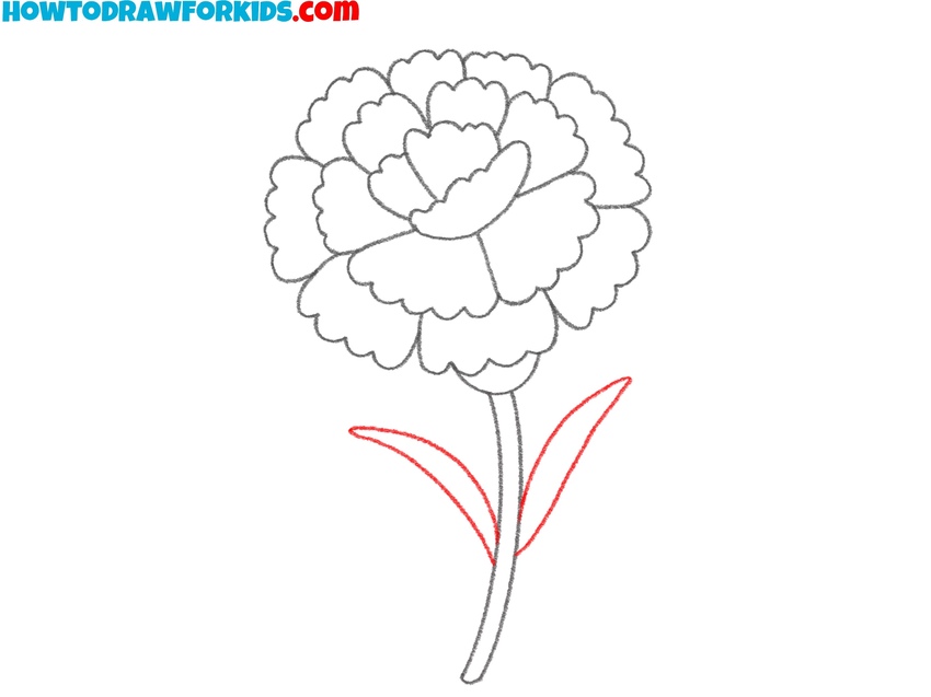 Sketch long pointed leaves