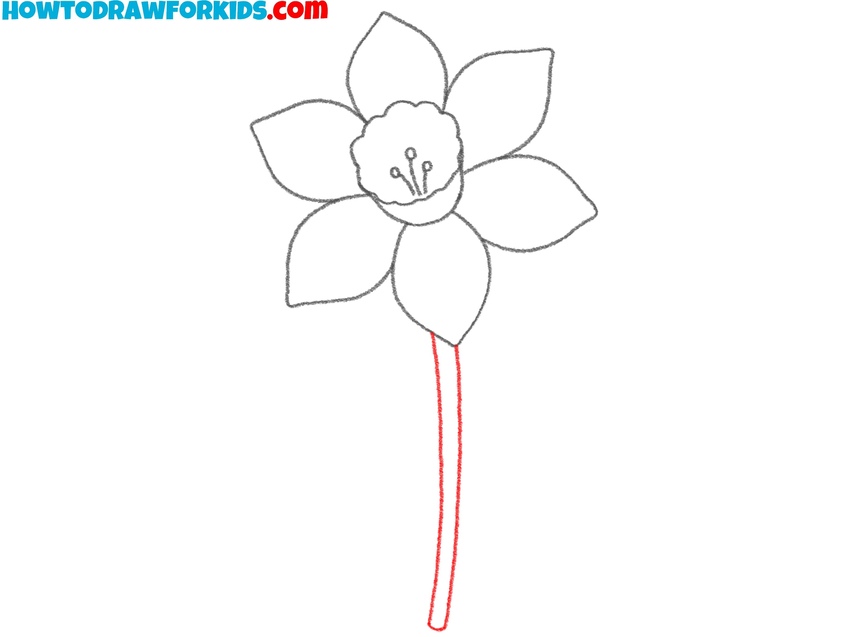 Draw the daffodil stem