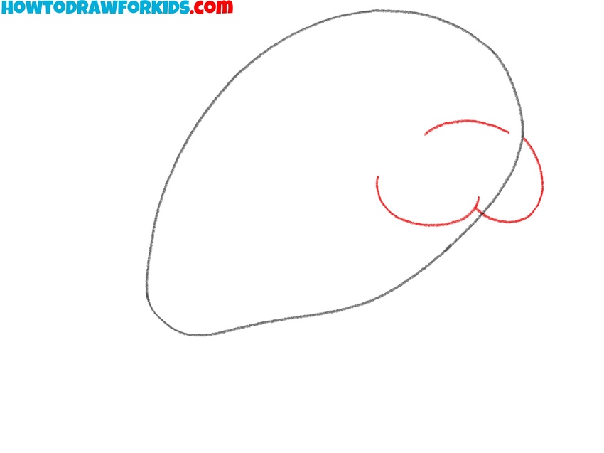 Draw the manatee’s snout