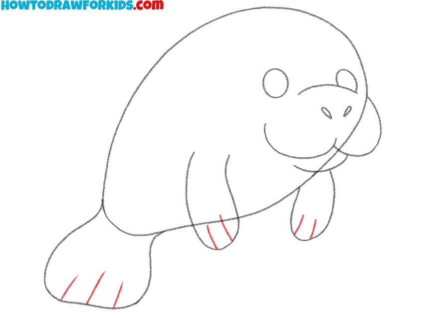 Detail the flippers and tail