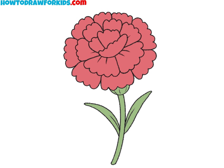 How to draw a carnation featured image