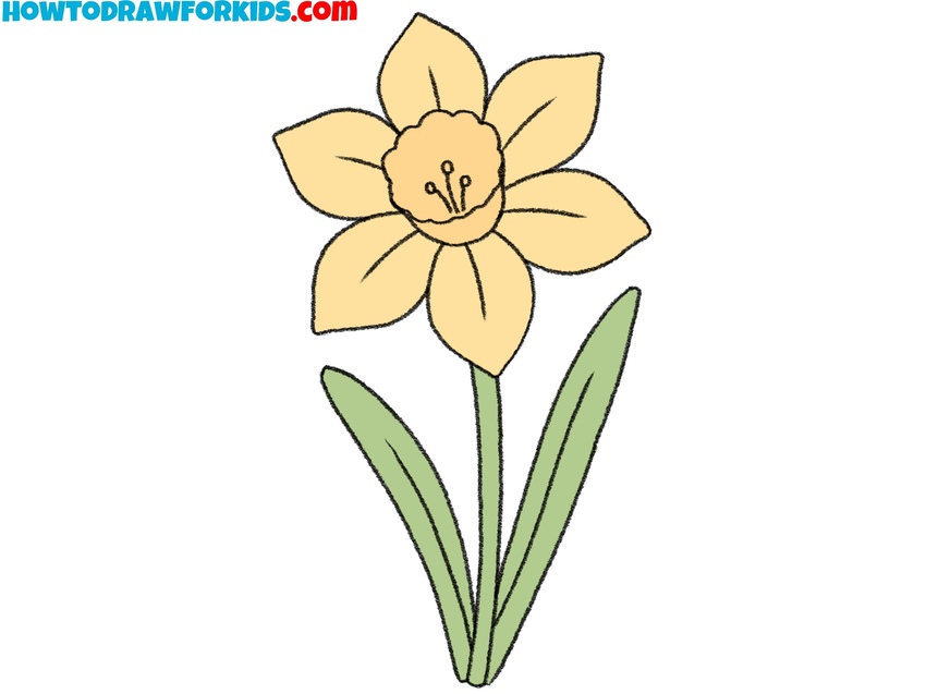 How to draw a daffodil featured image
