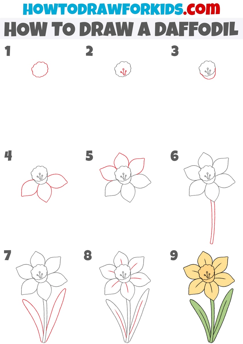 How to draw a daffodil step by step